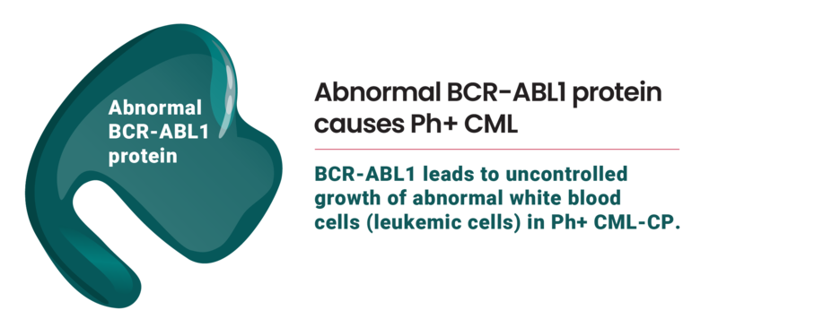Abnormal BCR-ABL1 protein causes Ph+ CML. BCR-ABL1 leads to uncontrolled growth of abnormal white blood cells (leukemic cells) in Ph+ CML-CP.